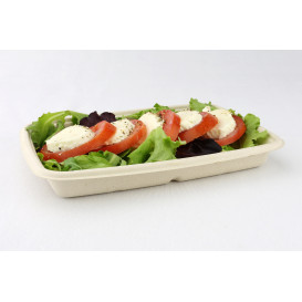 Obaly z Cukrové Třtiny 600ml 230x165x30mm (75 Kousky)