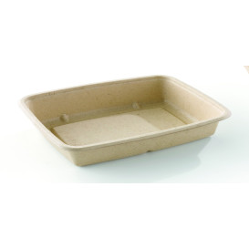 Obaly z Cukrové Třtiny 600ml 230x165x30mm (75 Kousky)
