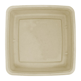 Obaly z Cukrové Třtiny 1000ml 230x230x30mm (300 Kousky)