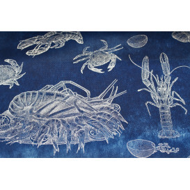 Ubrusy na Roli Novotex Modrý " Plody Moře " 1,2x50m P40cm (6 Kousky)