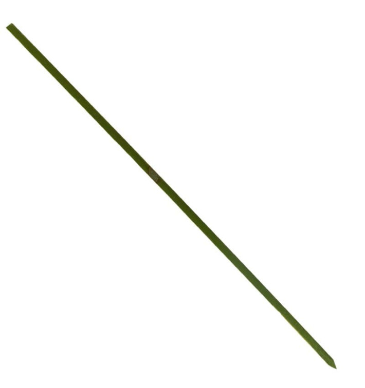 Bambusové Špejle Zelený Přírodní 250mm (5000 Kousky) Bambusové Špejle Zelený Přírodní 250mm (5000 Kousky)