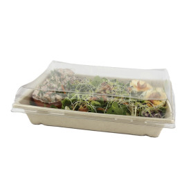 Podnos z Cukrové Třtiny s Víčko 750ml 220x160x60mm (15 Kousky)