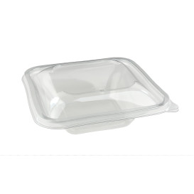 Plastové Misky PET Tisk 500ml 170x170x50mm (300 Kousky)