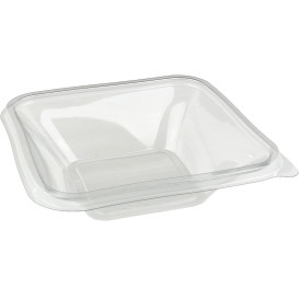 Plastové Misky PET Tisk 500ml 170x170x50mm (300 Kousky)