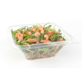Plastové Misky PET Tisk 750ml 170x170x60mm (50 Kousky)