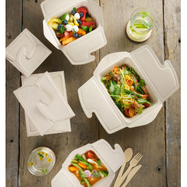 Menu Box z Cukrové Třtiny 17x13x7cm 750ml (200 Kousky)