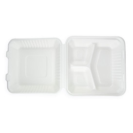 Obaly s Víčkem z Cukrové Třtiny + PLA 3 Vrstvami 23x23x7,5cm (200 Kousky)