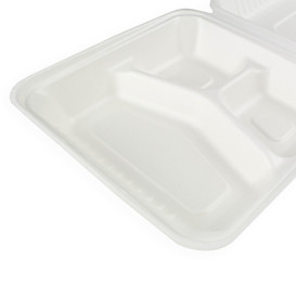 Obaly s Víčkem z Cukrové Třtiny + PLA 3 Vrstvami 23x23x7,5cm (200 Kousky)