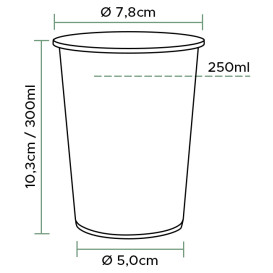 Kelímek PLA Bio Průhledný 299ml Ø78mm (80 Kousky)