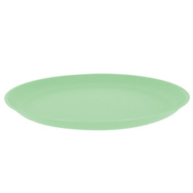 Talíř Opakovaně Použitelné Durable PP Minerální Zelený Ø27,5cm (6 Kousky)
