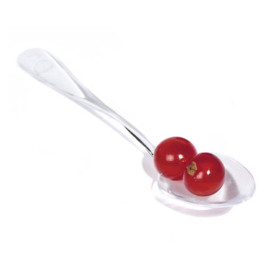 lžička pro Ochutnávky Průhledný Krabička 10cm (100 Ks)