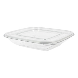 Plastové Misky PET 750ml 190x190x40mm (50 Ks)