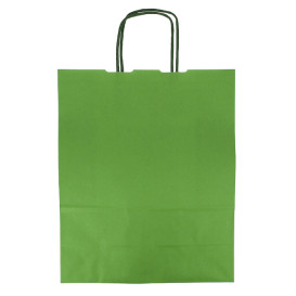 Papírové Tašky Zelený s Ouškems 100g/m² 25+11x31cm (25 Ks)