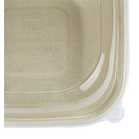 Obaly z Cukrové Třtiny s Víčko 750ml 190x190x80mm (15 Ks)
