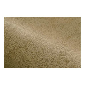 Ubrusy na Roli TNT Plus Béžový 1,2x50m 60g P40cm (1 Ks)