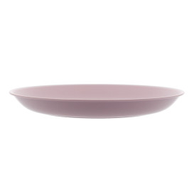 Talíř Opakovaně Použitelné Durable PP Minerální Růže Ø21cm (6 Ks)