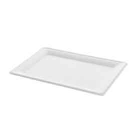 Podnos z Cukrové Třtiny Bílý 200x280mm (320 Ks)
