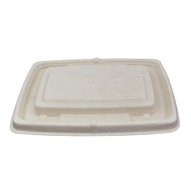 Víčko z Cukrové Třtiny na Obaly 230x165mm (75 Ks)