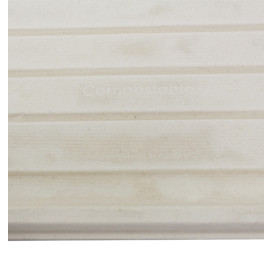 Podnos z Cukrové Třtiny 460x300mm (25 Ks)