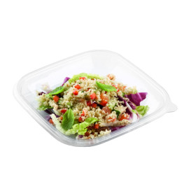 Plastové Misky PET 750ml 175x175x50mm (50 Ks)