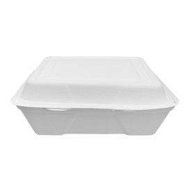 Menu Box z Cukrové Třtiny Bílý 225x225x75mm (50 Ks)