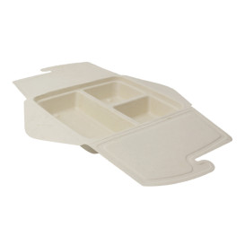 Box to Go z Cukrové Třtiny 3 Vrstvy 21x21x4cm 900ml (100 Ks)