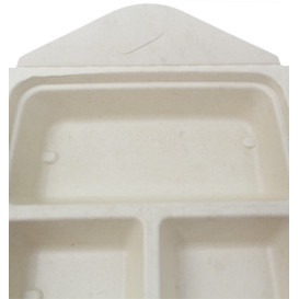 Box to Go z Cukrové Třtiny 3 Vrstvy 21x21x4cm 900ml (100 Ks)