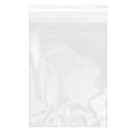 Tašky s Plastové Bio s Oknem Samolepící 18x25 cm G-160 (100 Ks)
