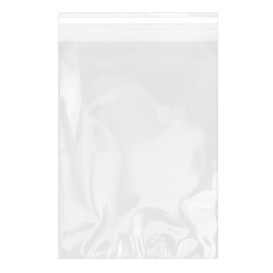 Tašky s Plastové Bio s Oknem Samolepící 25x35 cm G-160 (1000 Ks)