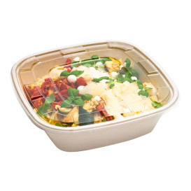 Plastové Víčko PET Průhledný na Misky 36x36cm (25 Ks)