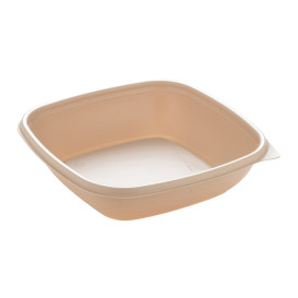 Plastové Obaly PP Krémový 500ml 16,5x16,5x4cm (50 Ks)