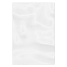 Tašky Polyetylenové bez Krycím Proužkem 20x30cm G-100 (1000 Ks)