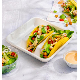Kontejner na Cukrová Třtina pro Tacos Bílý 18,5x18,5cm (50 Ks)