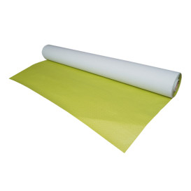 Rol Ubrusy Papírové Pistácie 1x100m 40g (1 Ks)