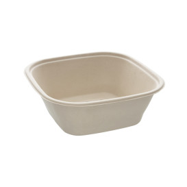 Misky z Cukrové Třtiny Přírodní Čtvercový 3500ml 27cm (50 Ks)