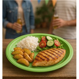 Plastové Talíř PS Opakovaně Použitelné na Mělký Limetkově Zelená Ø220mm (25 Ks) Plastové Talíř PS Opakovaně Použitelné na Mělký Limetkově Zelená Ø220mm (25 Ks)