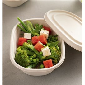 Víčko z Cukrové Třtiny na Misky 19x15cm (300 Ks)