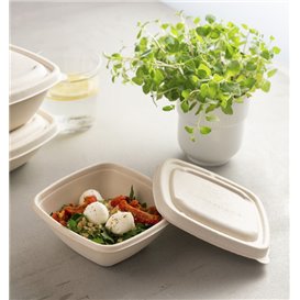 Víčko z Cukrové Třtiny na Misky 13x13cm (500 Ks)